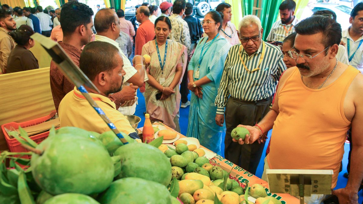 People buy different varieties of mangoes during the 9th Mango Festival…