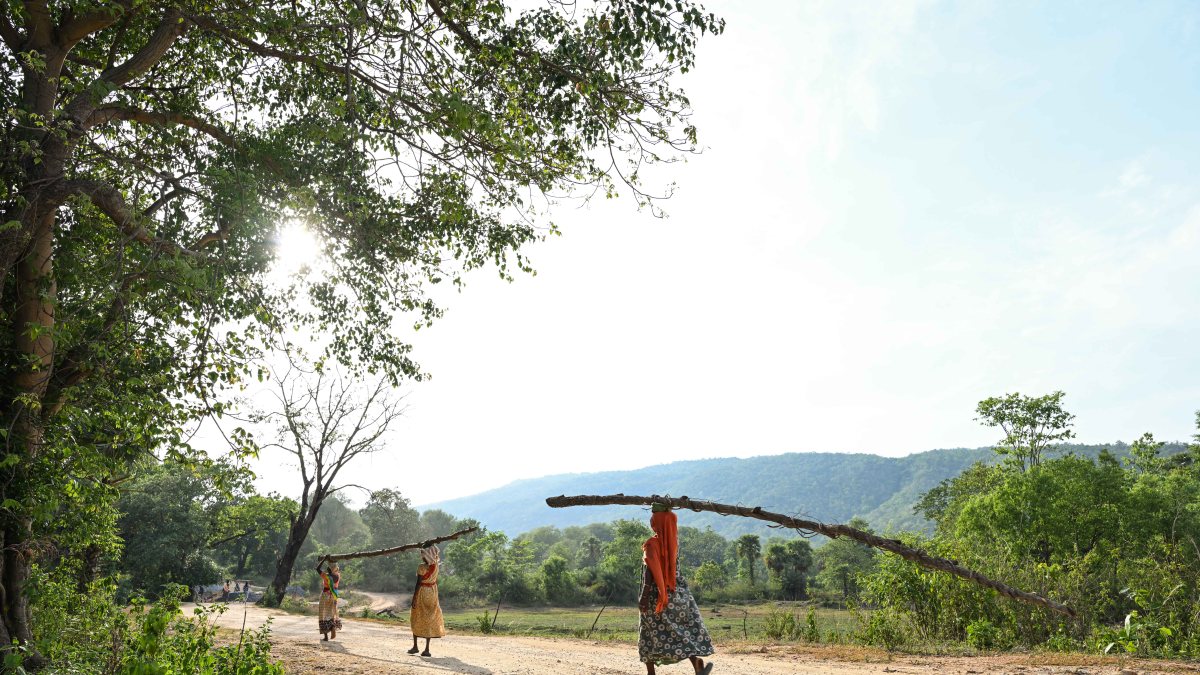 Women carry wooden logs for roofing in Bastar
