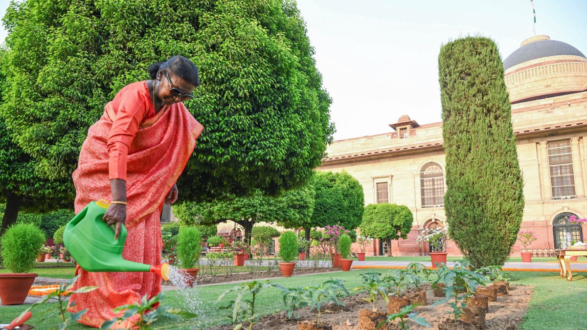 President Murmu plants indigenous flower in Amrit Udyan on Environment Day