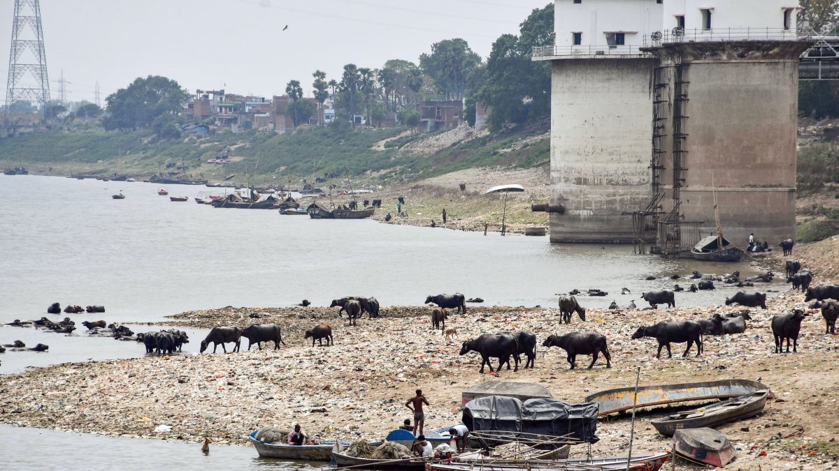 Aerial view of receding Yamuna waters on World Environment Day
