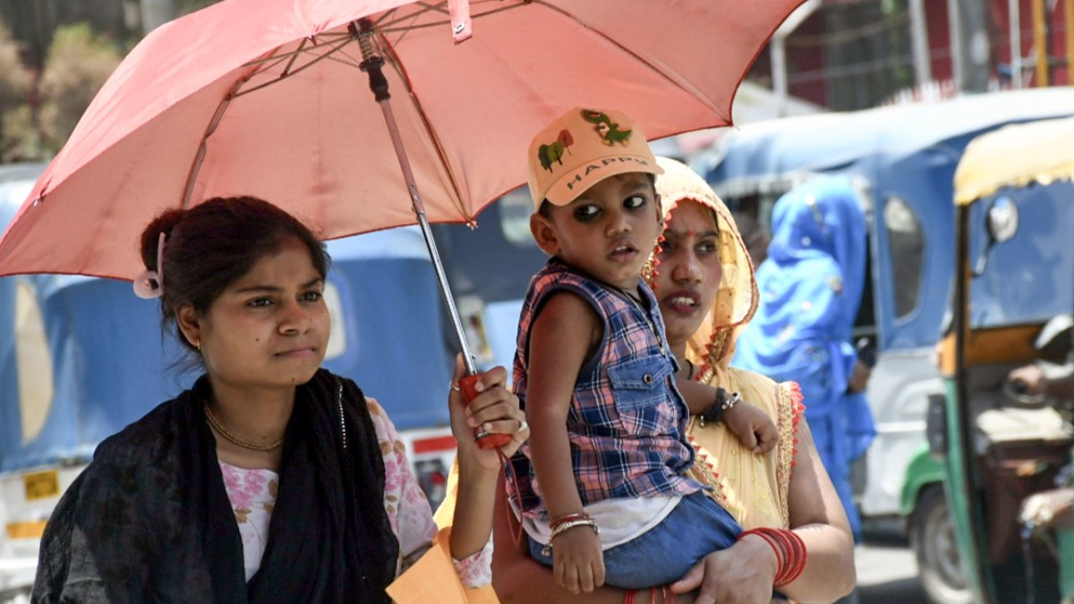 Women shield from sun with umbrellas in Kanpur heat