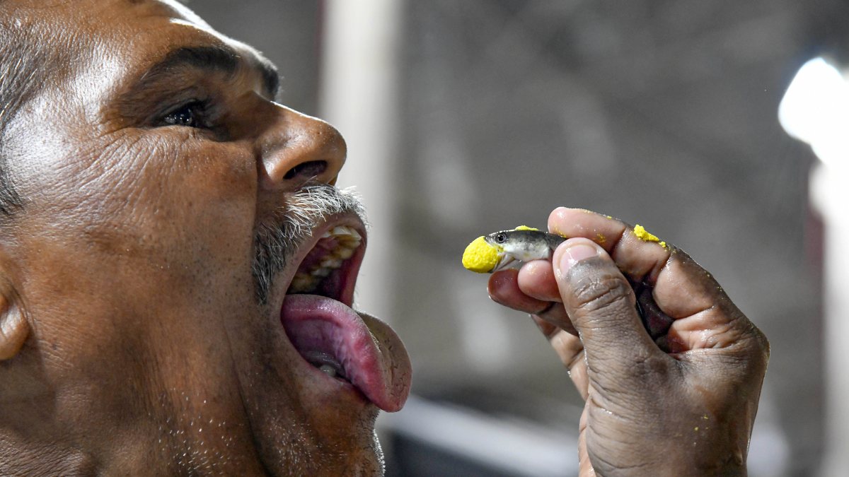 Hundreds queue for fish prasadam in Hyderabad