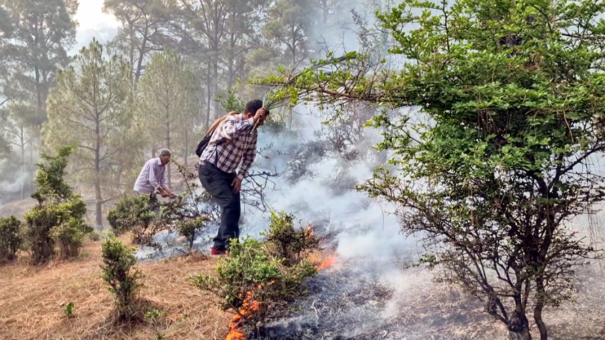 People attempt to control a forest fire in the Rang forest area of Ramnagar…