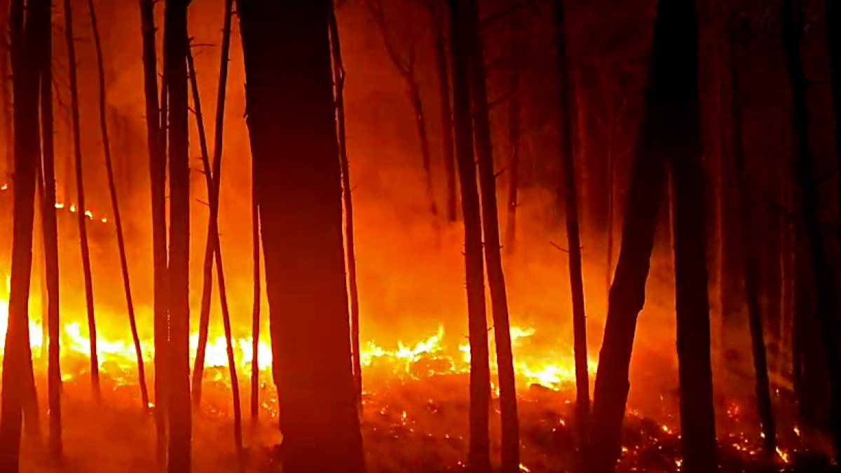 Forest fire engulfs Eco Park amid an ongoing heatwave near the Bathuni area, in…