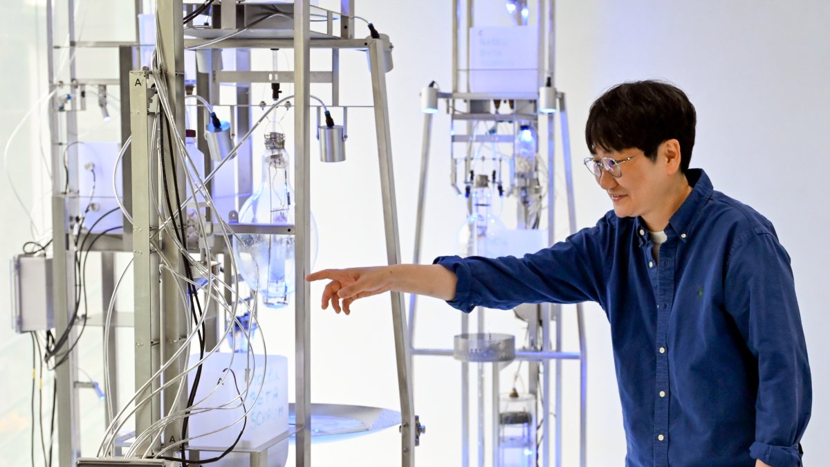 Artist BOO Jihyun presents installation at Aqua Paradiso exhibition in New Delhi