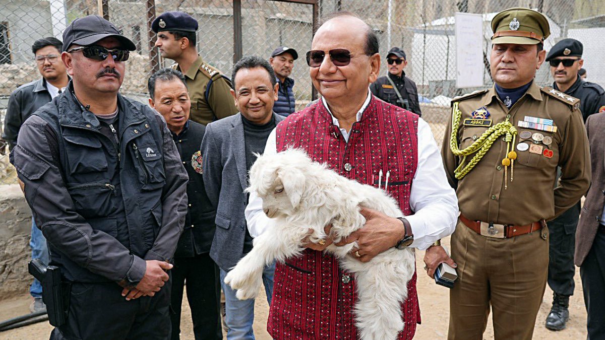 Ladakh LG approves first Pashmina Development Board