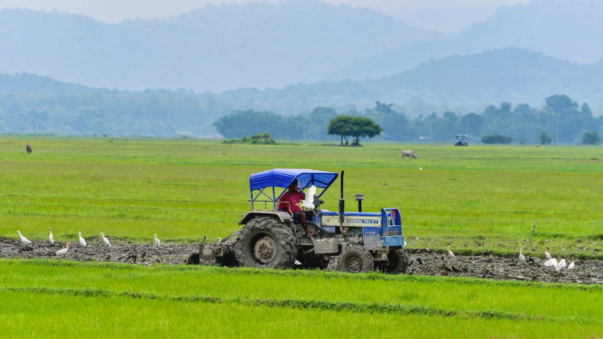 Farmer ploughs field with tractor for paddy plantation in Nagaon