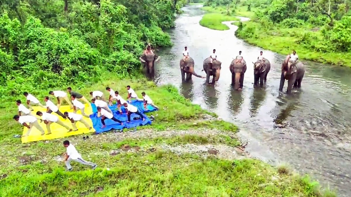 People perform yoga on the bank of Halong River as Kunki elephants stand in the…