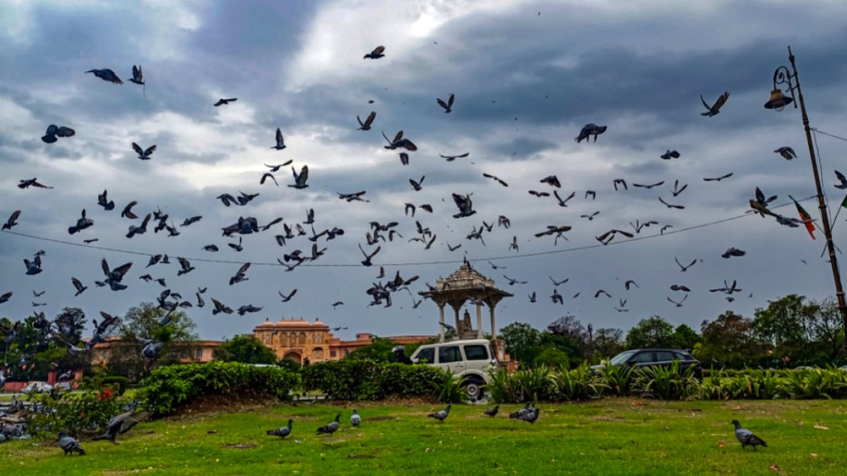 Dark clouds loom over Jaipur's Statue Circle