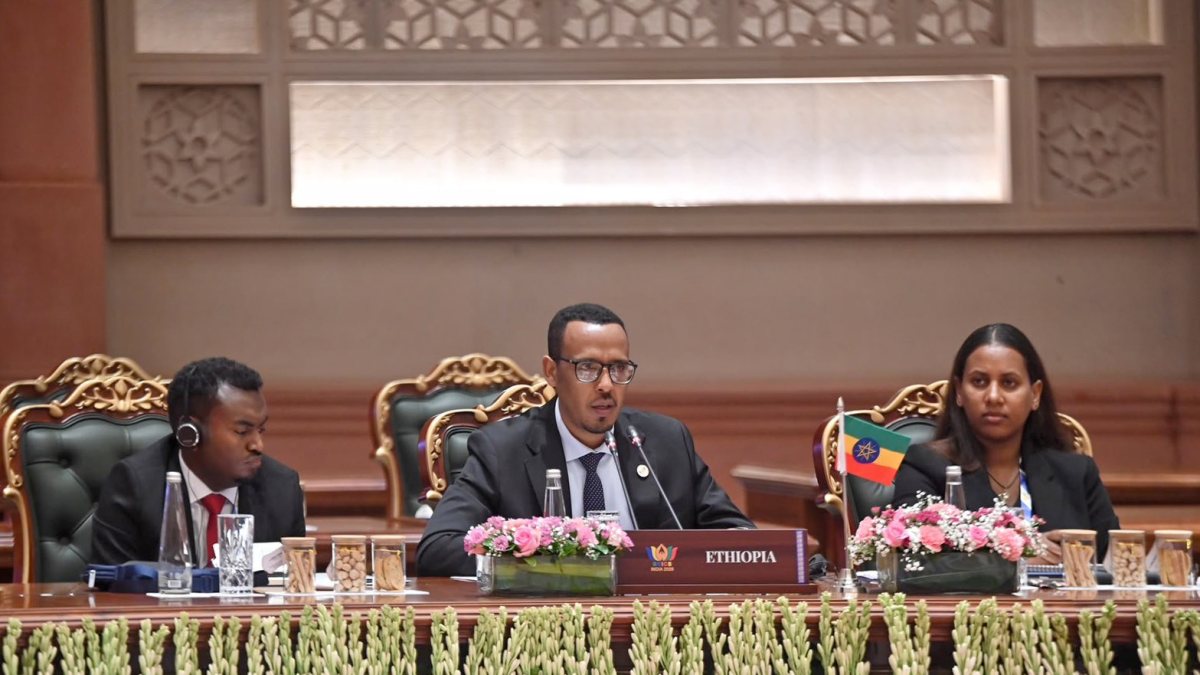 Ethiopian official speaks at BRICS security meet in New Delhi
