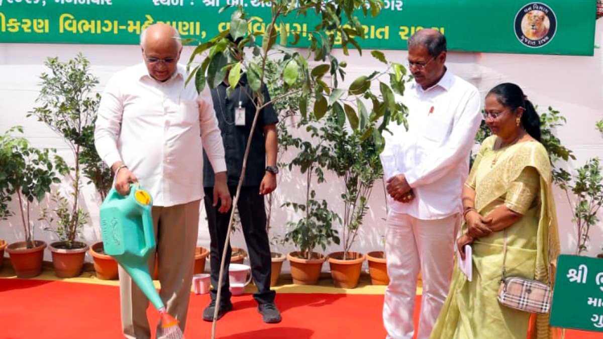 Gujarat CM waters sapling at school admission festival launch