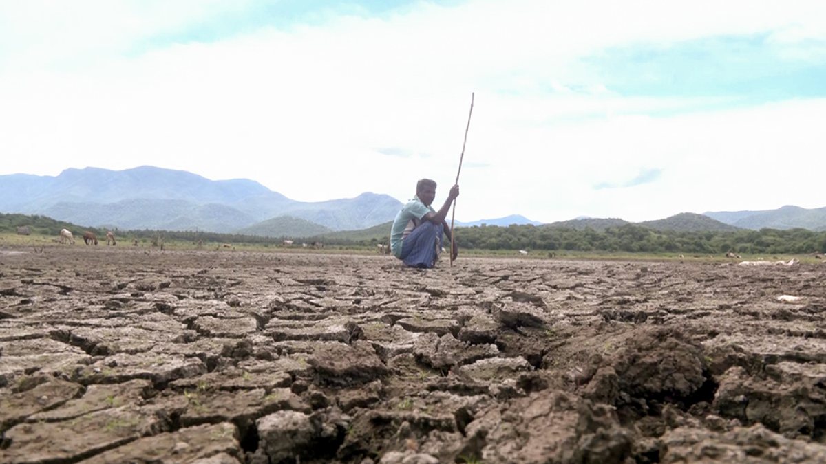 Dry Sathiyar dam leaves Madurai farmer on parched land