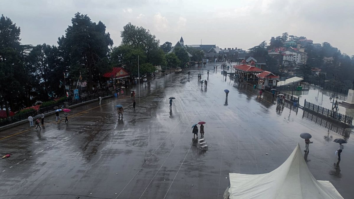 People use umbrellas as rain lashes Shimla