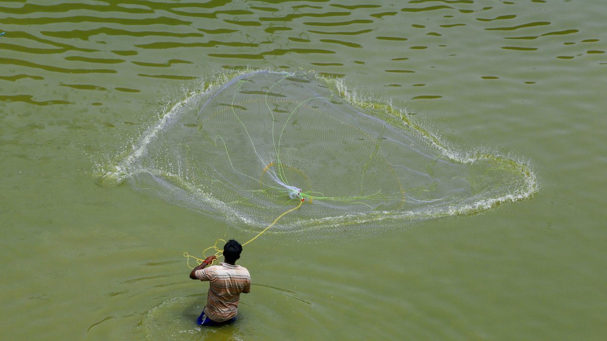 A fisherman uses a fishing net for fishing in the Sabarmati River, in Ahmedabad…
