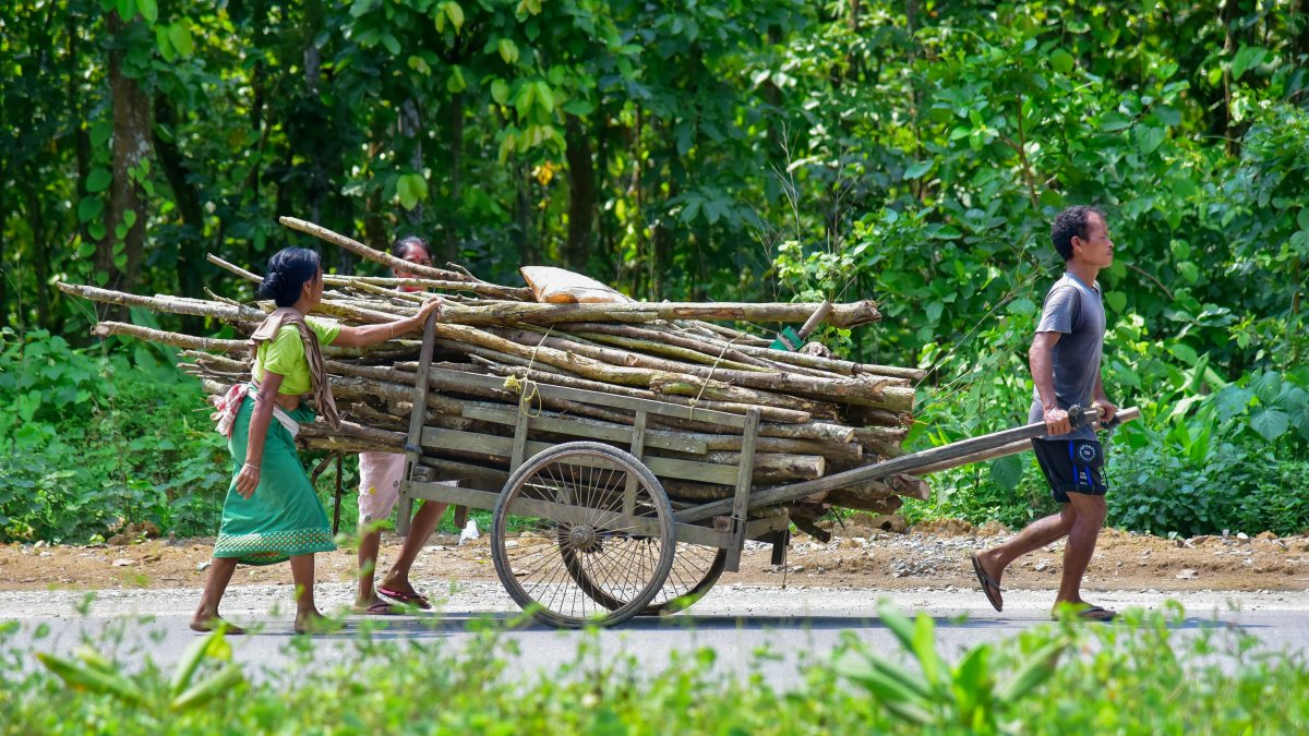 Villagers transport a bundle of firewood on a handcart following the scarcity…