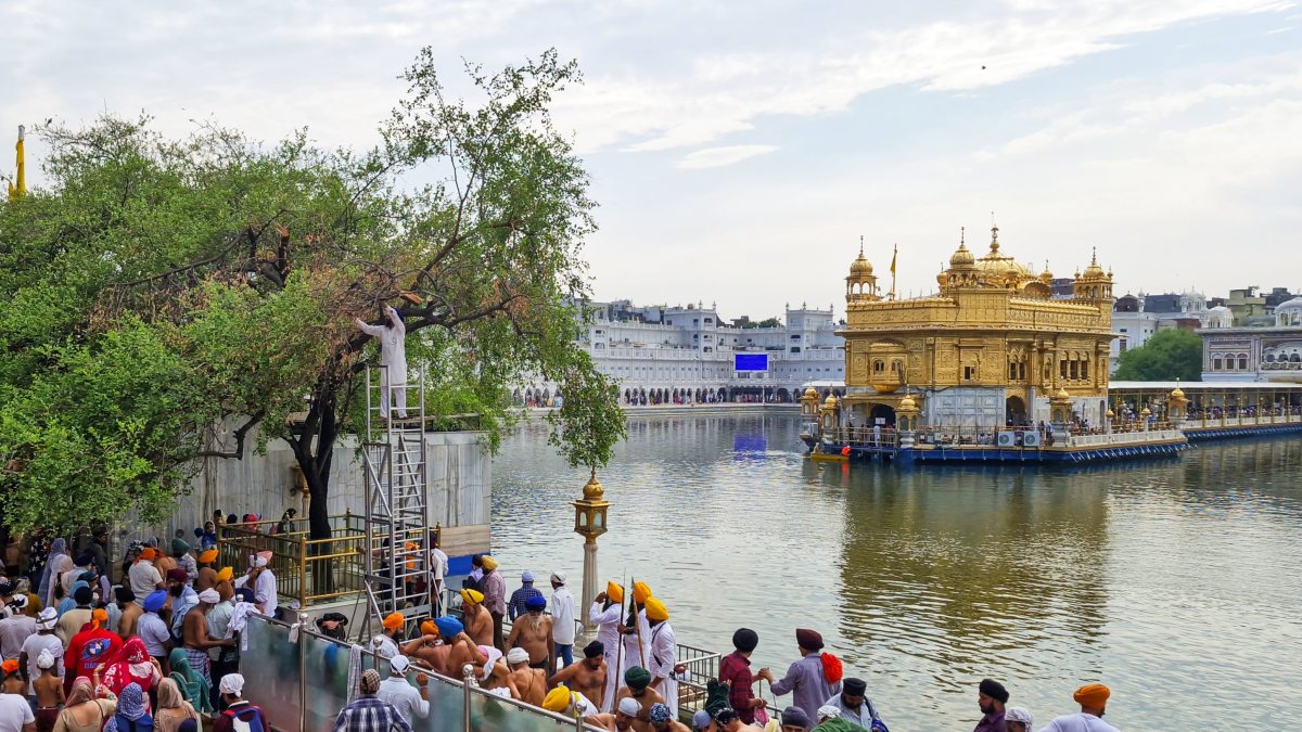 Sewadar or SGPC employees perform the "sewa" of pruning the "Dukh Bhanjani…