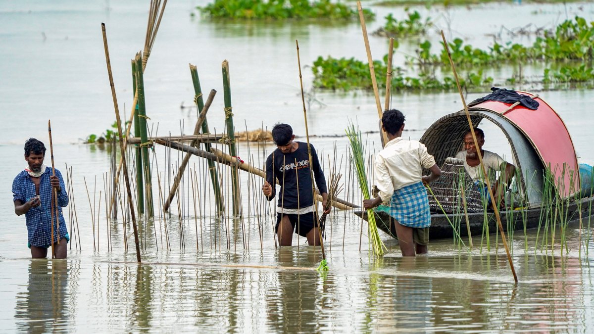 Flood waters bring fish to Morigaon residents