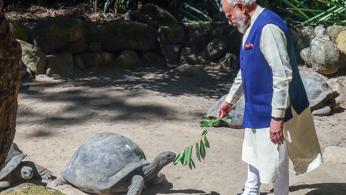 PM Modi feeds Aldabra giant tortoise in Seychelles
