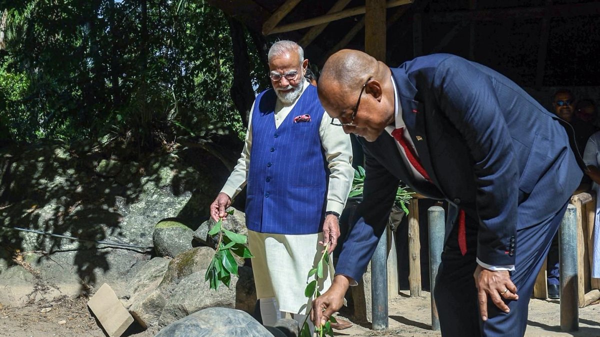 PM Modi feeds Aldabra giant tortoise in Seychelles