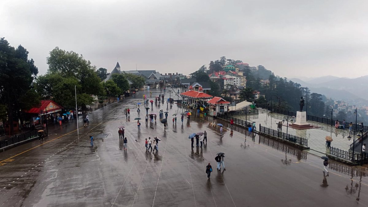 People use umbrellas while walking in Shimla rain