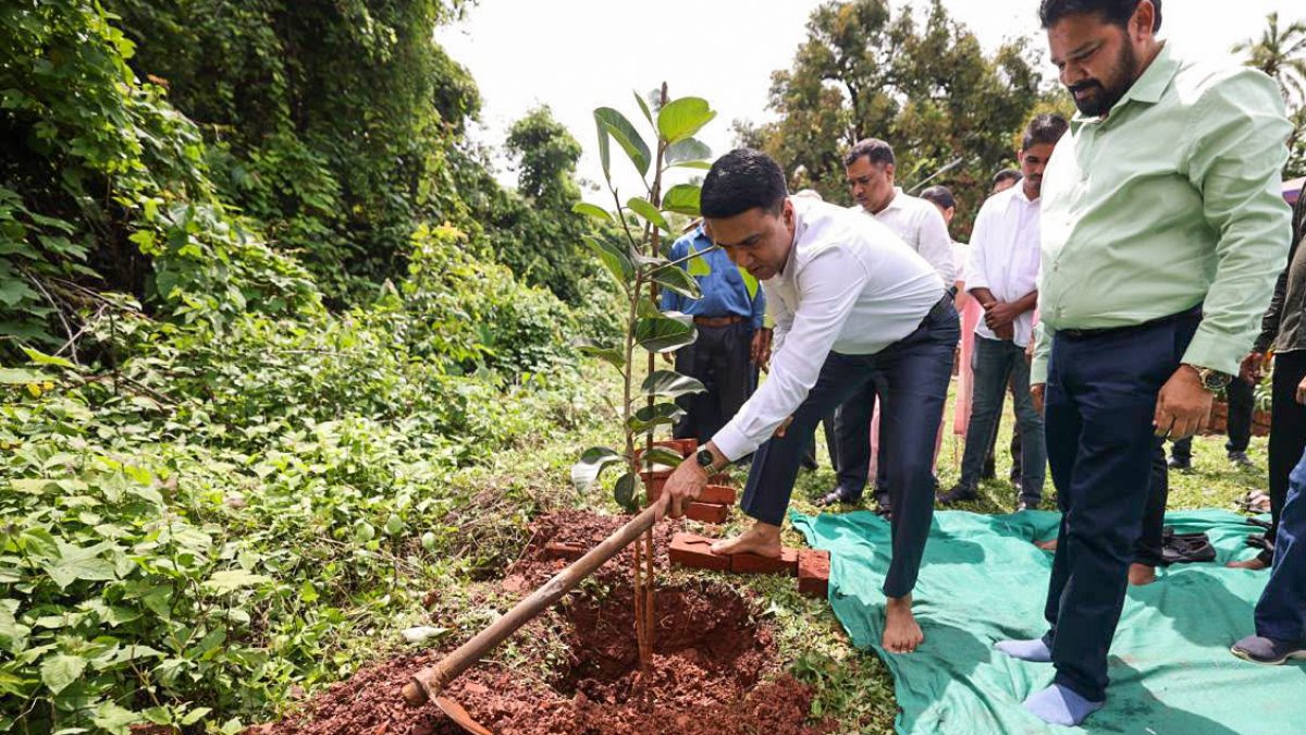Goa CM Sawant plants sapling for Banyan Tree Plantation Drive