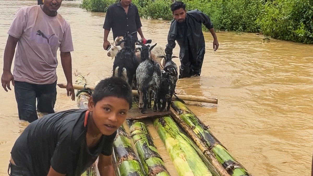 People carry cattle on makeshift boat in flood-hit Dhemaji village