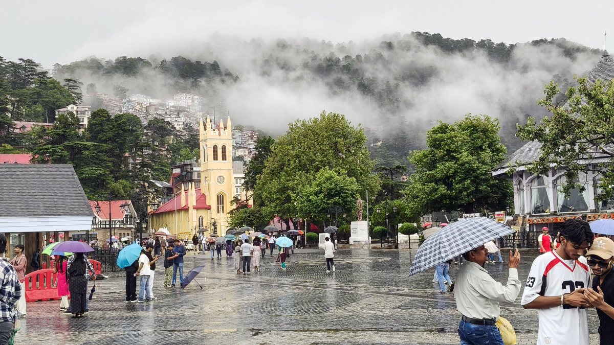 People use umbrellas while walking amid rainfall in Shimla