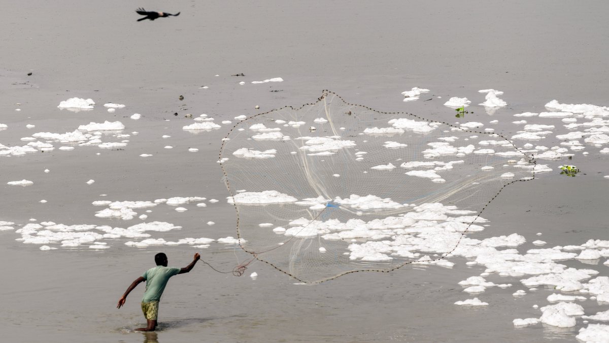 Toxic foam floats on Yamuna as fisherman casts net in Delhi