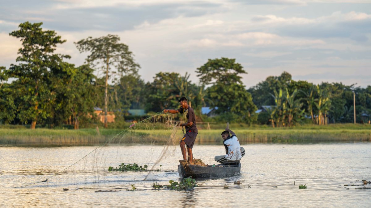Fisherman casts nets in Dhansiri River on hot summer day
