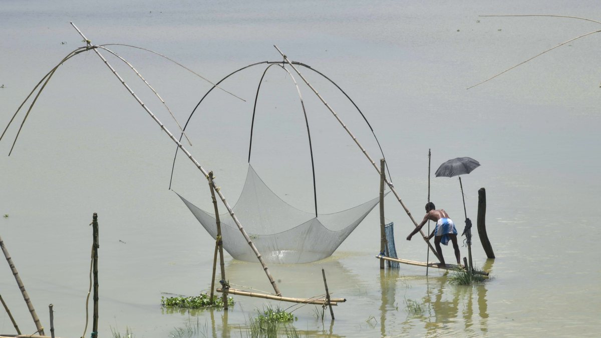 Fisherman uses traditional bamboo lift net in flood-hit Assam