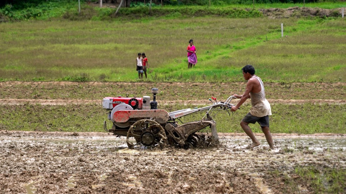 Farmer ploughs paddy field with power tiller as monsoon arrives