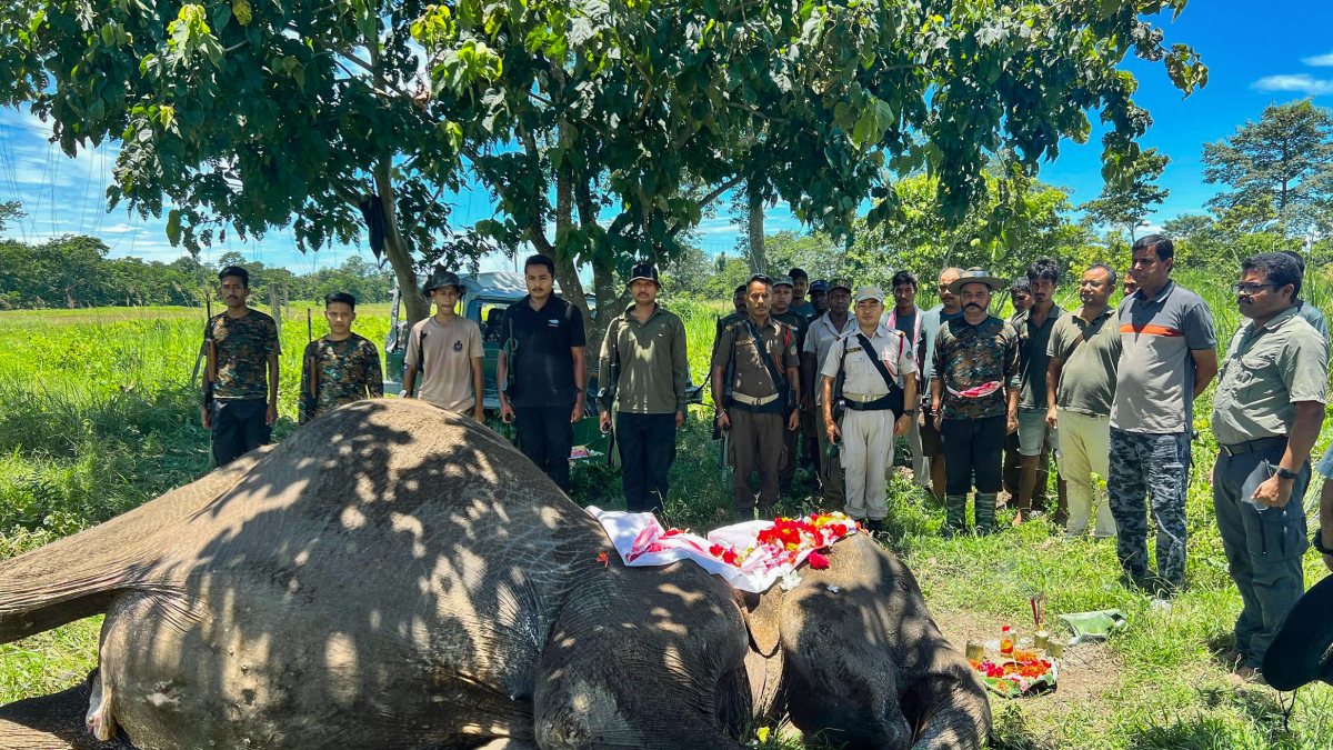 Forest officials pay tribute to Kaziranga's patrol elephant Joymala
