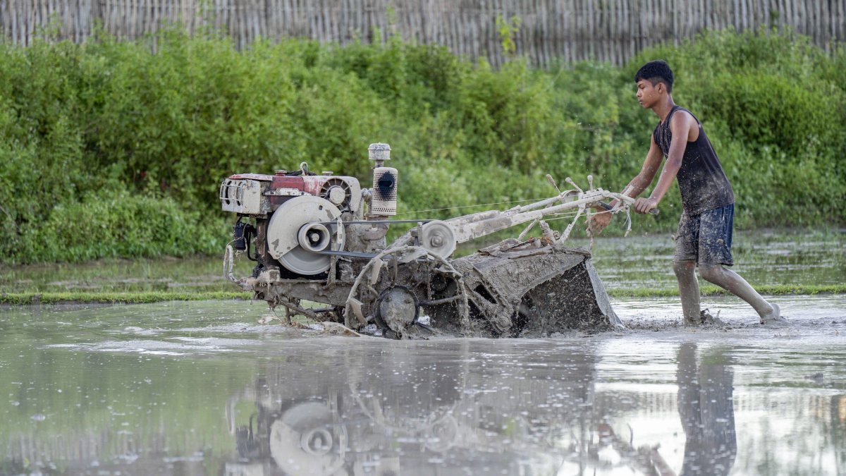 Boy operates power tiller in Assam paddy field during monsoon