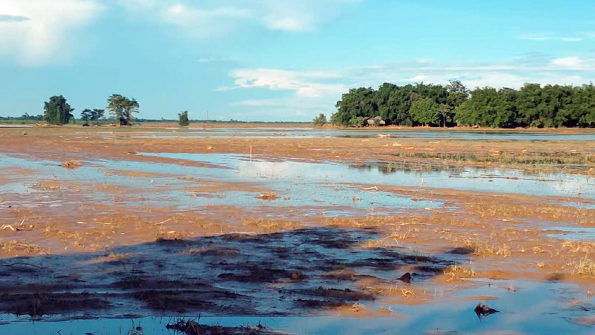 Flooded field in Dhemaji's Madhupur village after heavy rains