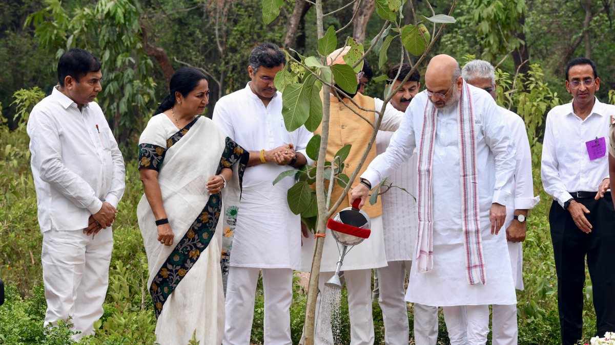 Amit Shah waters sapling under Ek Ped Maa Ke Naam campaign
