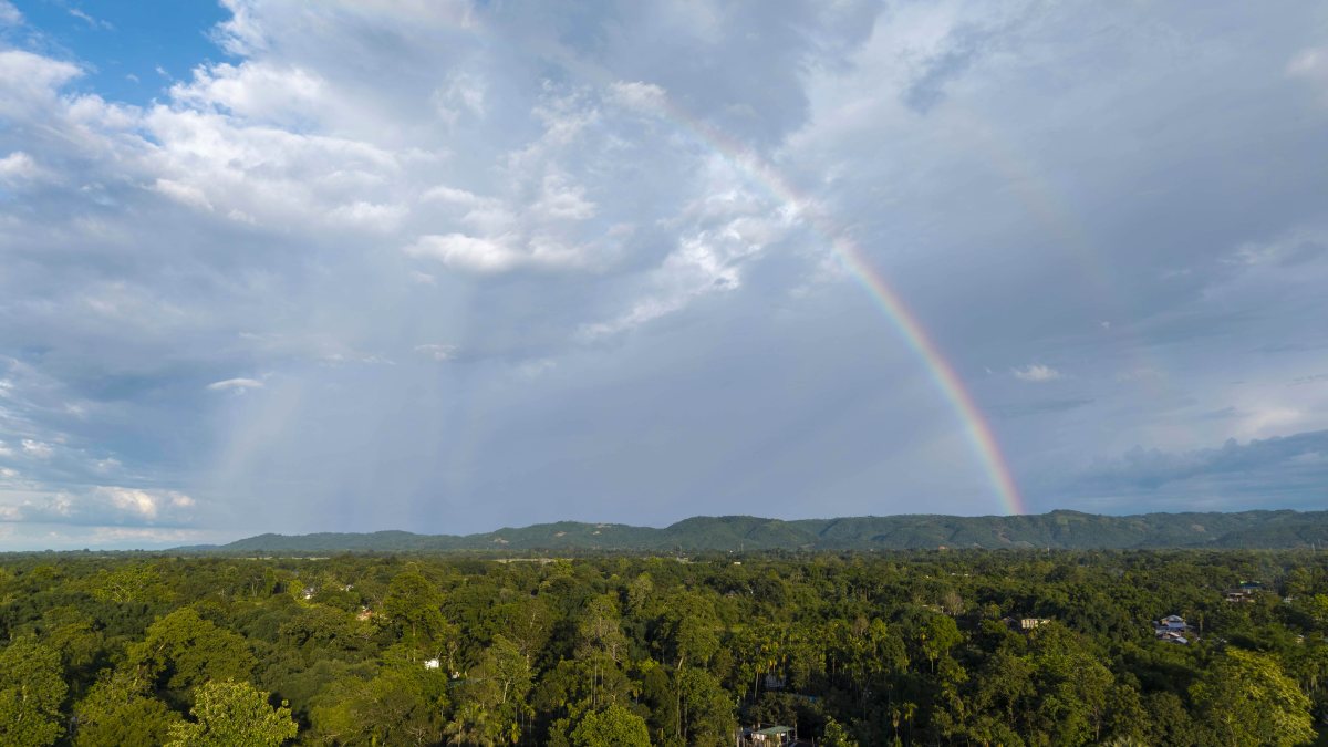 A vibrant rainbow stretches across a dramatic monsoon sky above the lush green…