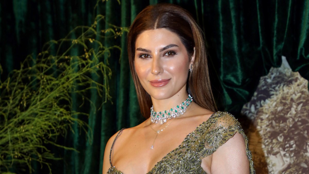 Elnaaz Norouzi at Anshula Kapoor's wedding reception