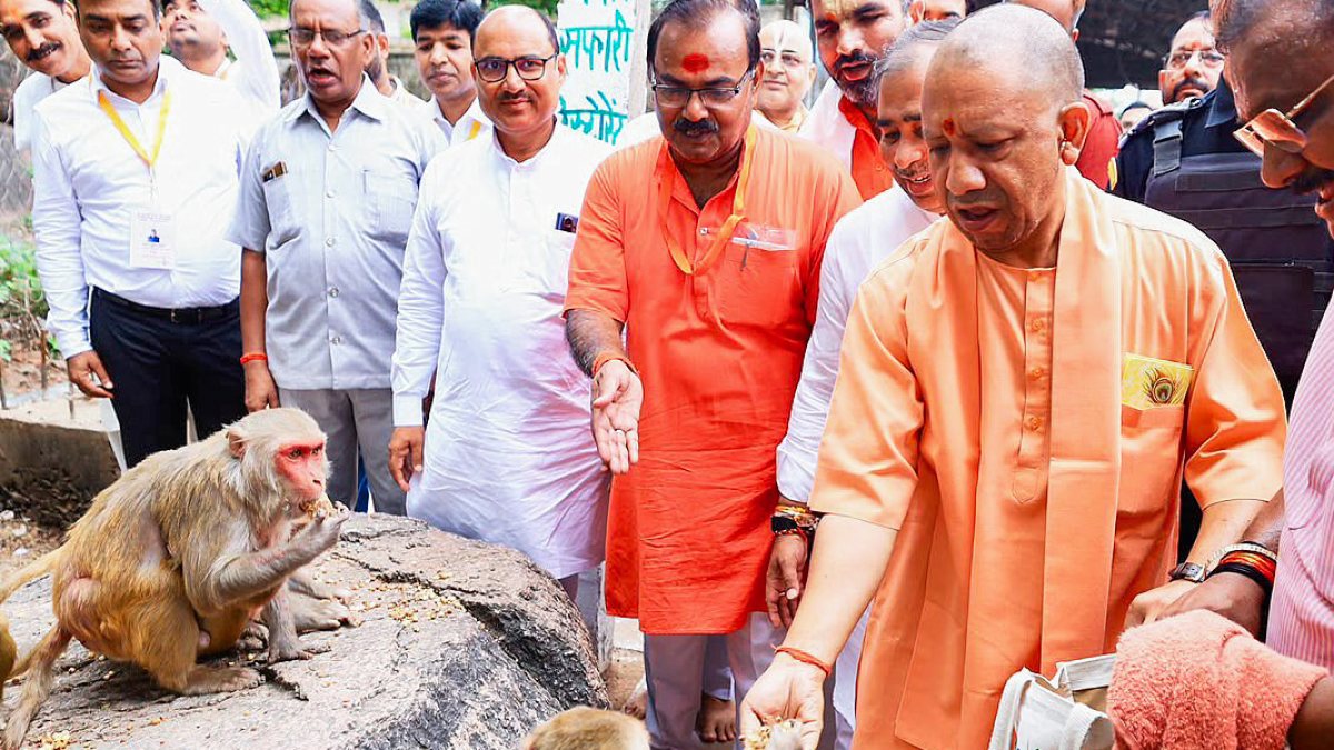 Uttar Pradesh CM Yogi Adityanath feeds monkeys during Chitrakoot temple visit