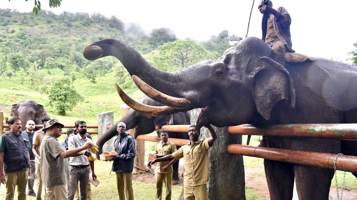 Union minister Bhupender Yadav visits elephant camp in Coimbatore