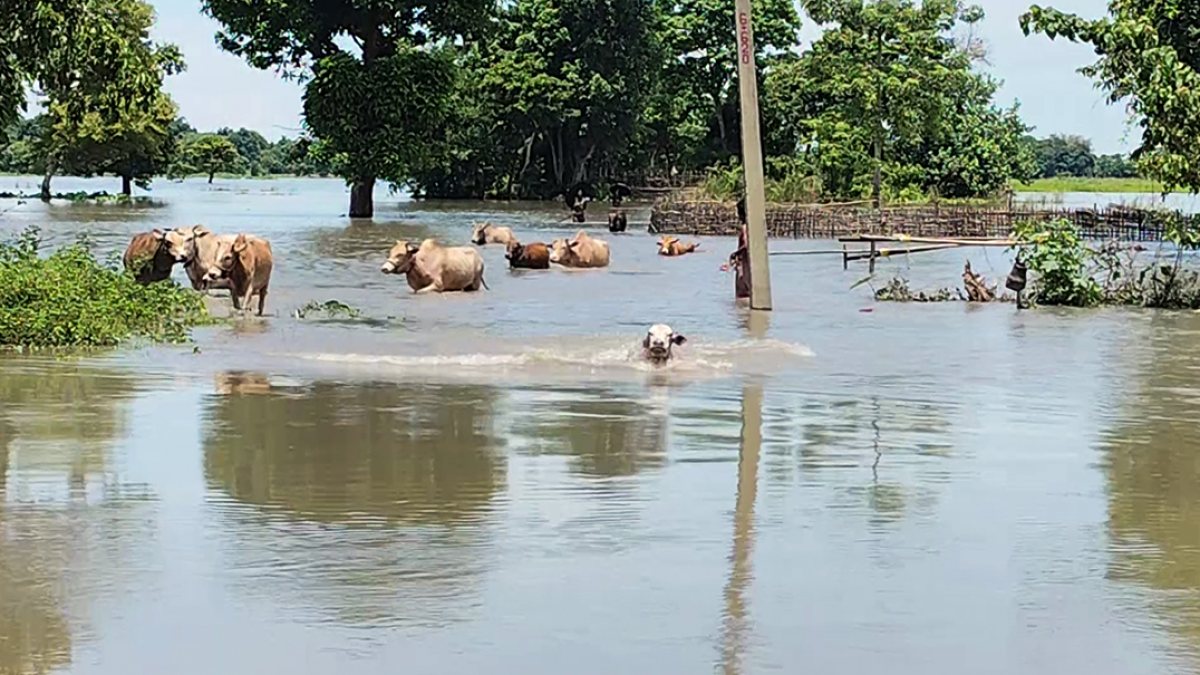 Floodwaters rise as Subansiri River swells after dam gate opening