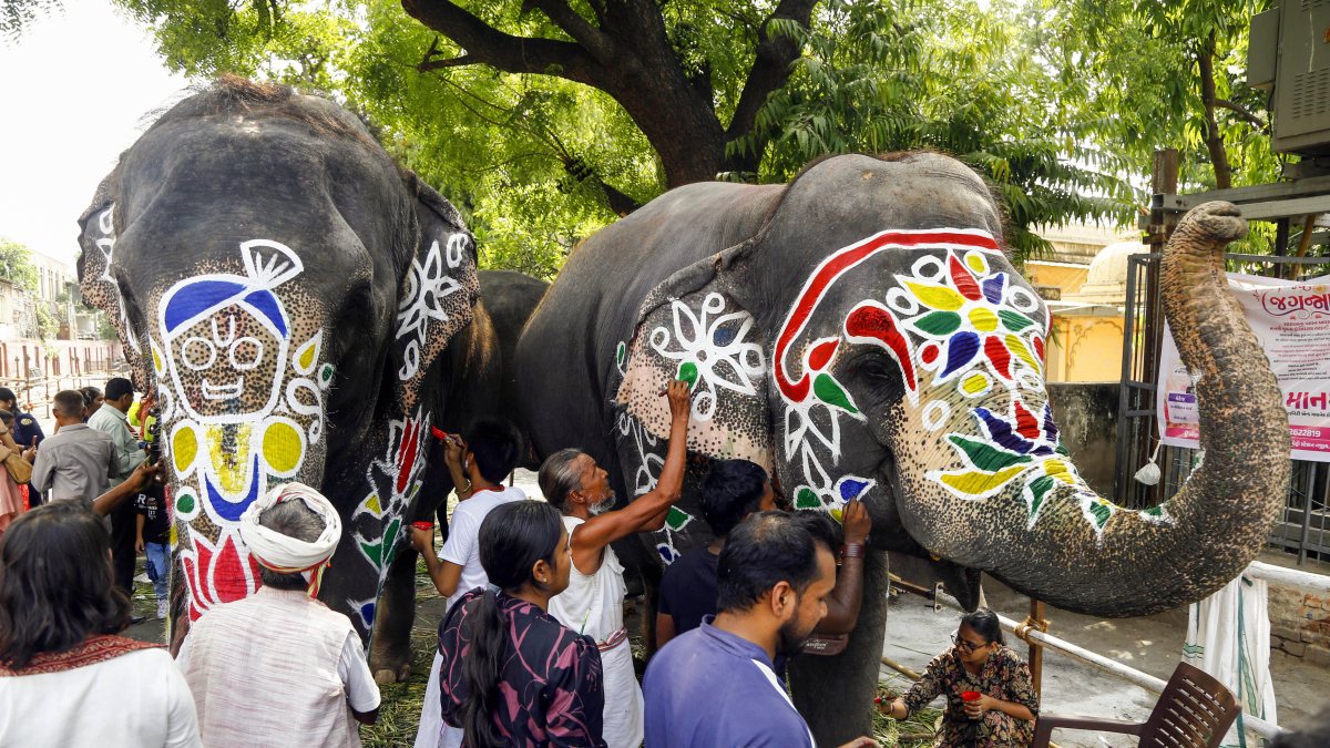 Elephants painted for Jagannath Rath Yatra in Ahmedabad