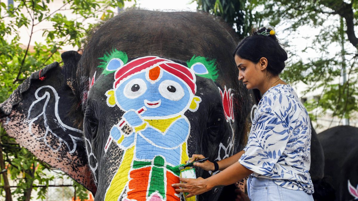 Elephants painted with colours ahead of Rath Yatra in Ahmedabad