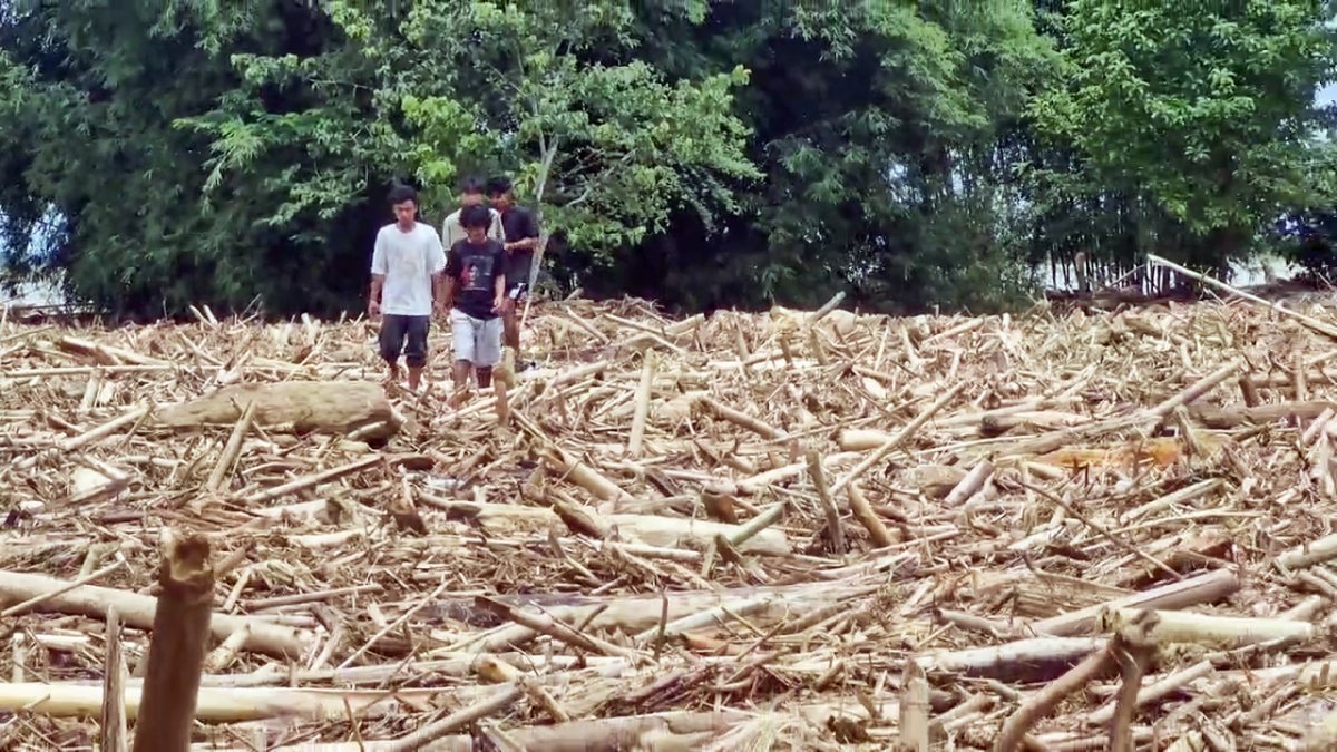 Flood-hit Assam village awaits cleanup as waters recede