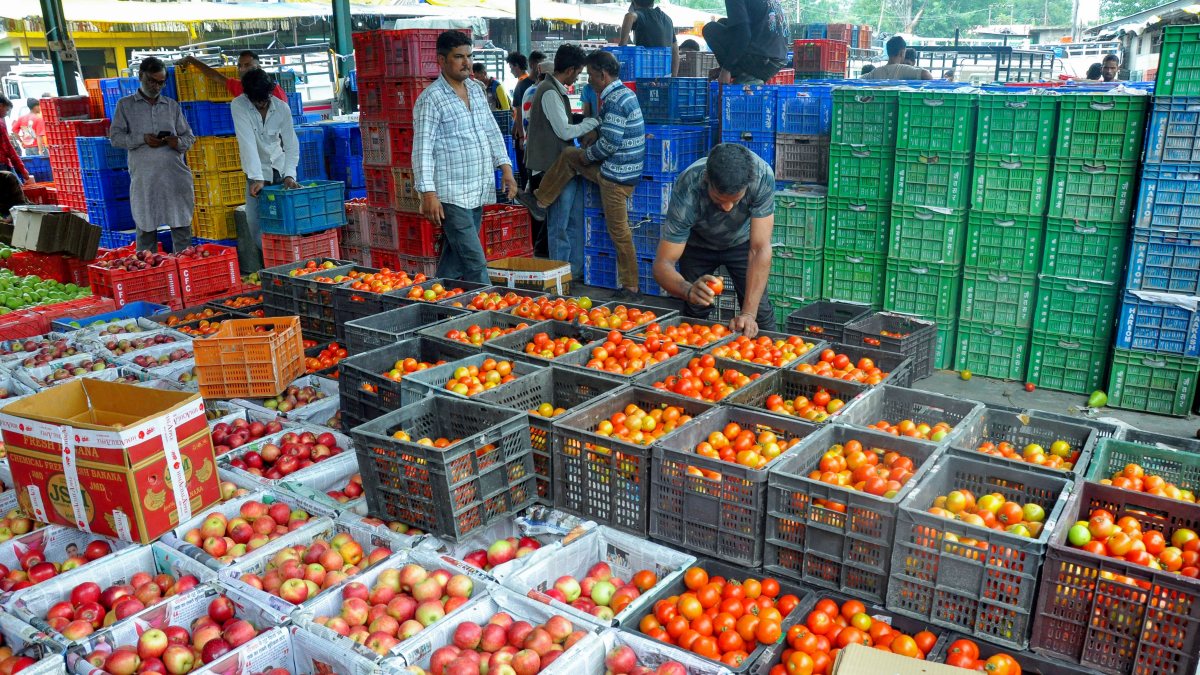 Packers busy packing apples in Kullu