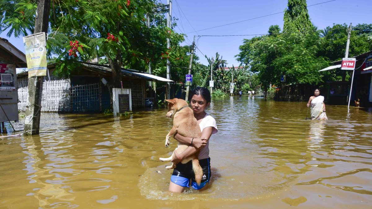Girl carries dog through floodwaters in Assam's Sivasagar