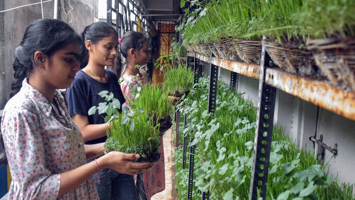 Girls plant javara seeds for Aluna Vrat in Surat