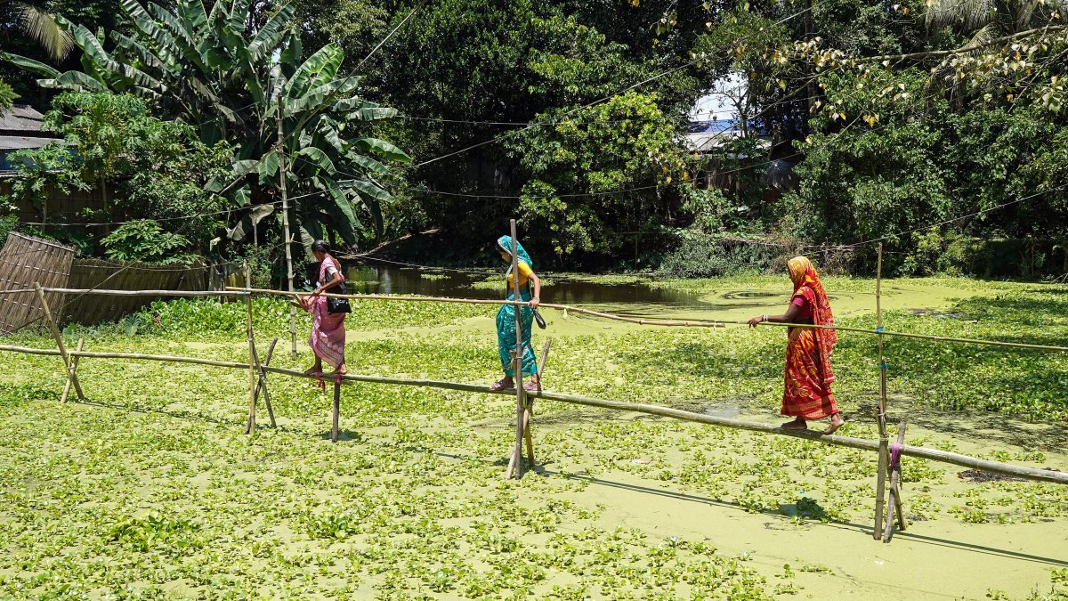 Women cross flood-hit area on makeshift bamboo bridge in Morigaon