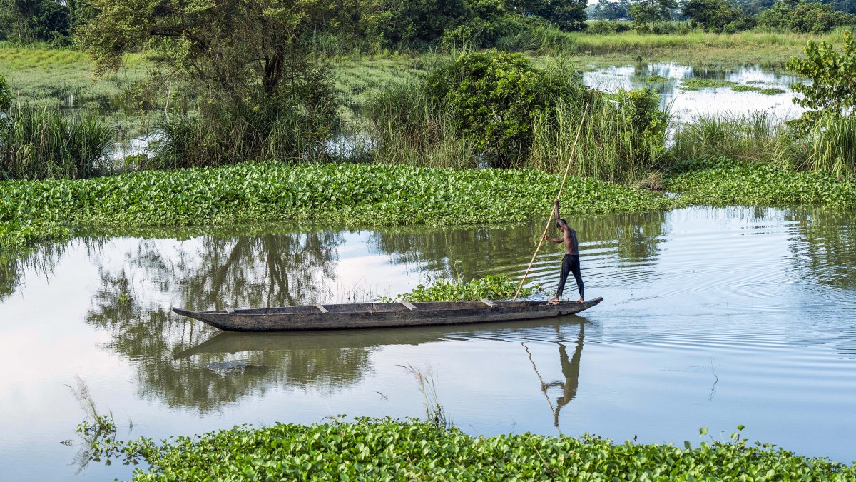 Fisherman rows boat in Assam wetland at Bokakhat