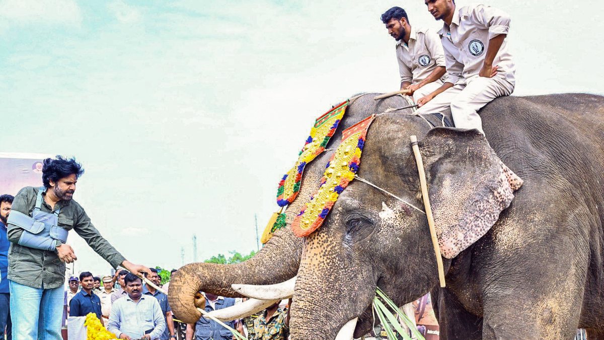 Andhra Pradesh Deputy Chief Minister Pawan Kalyan interact with Kumki elephants…
