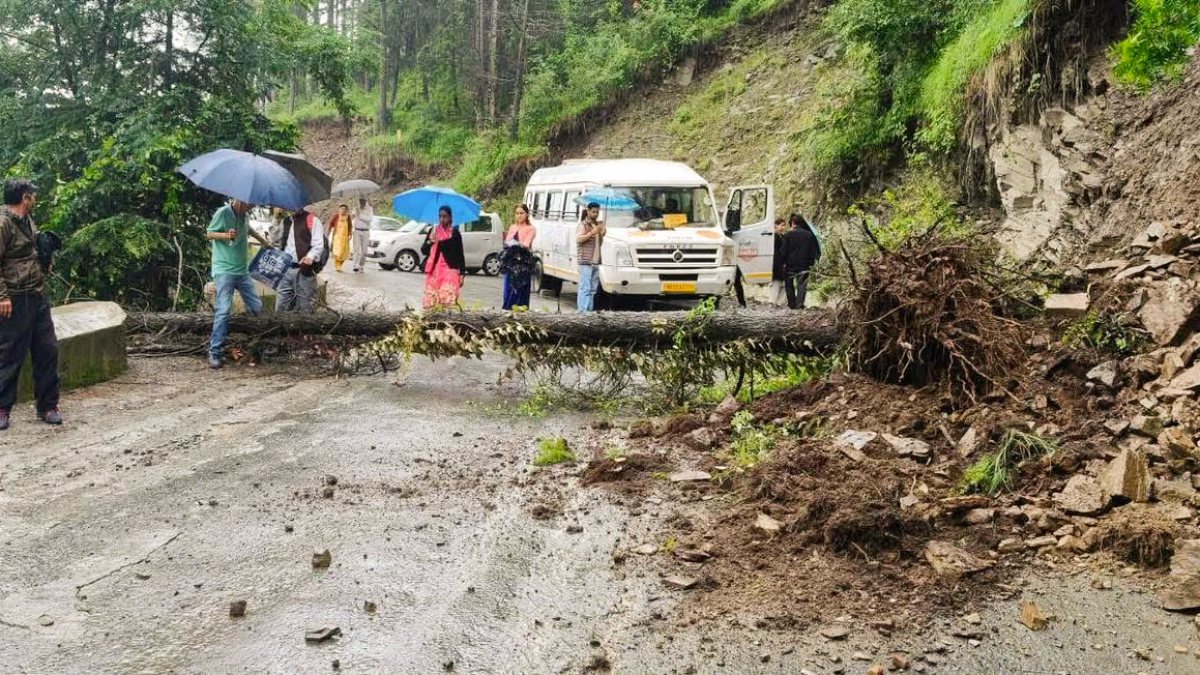 Himachal road blocked by fallen rock and tree after heavy rain
